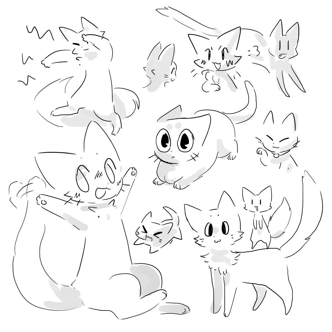 CATS