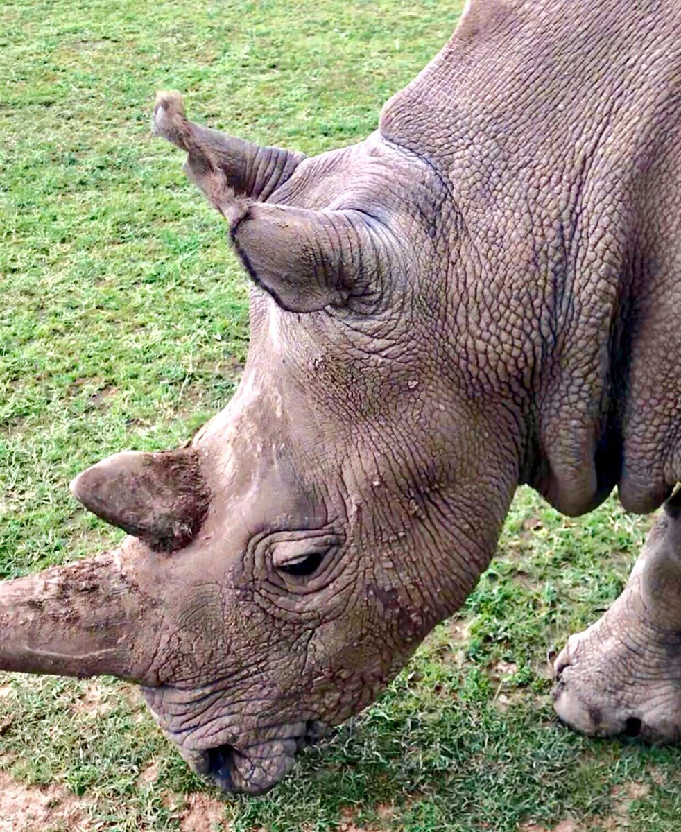 WorldAnimalNews tweet picture