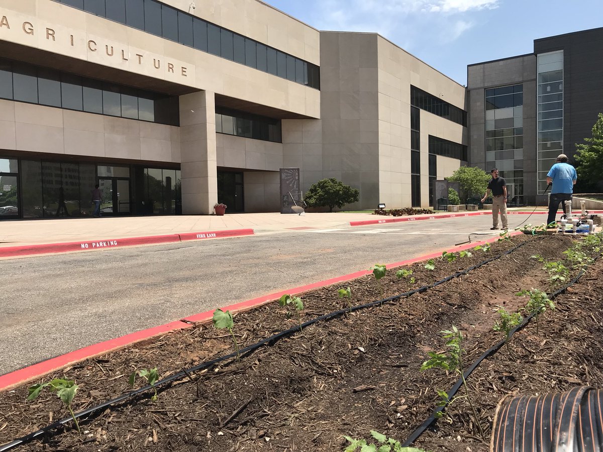 ThinkWaterOK's tweet photo. Today we are installing drip irrigation at the Oklahoma Department Of Agriculture Food and Forestry building. #ThinkWaterOK #OKCoopExt https://t.co/G3pZ74xubI