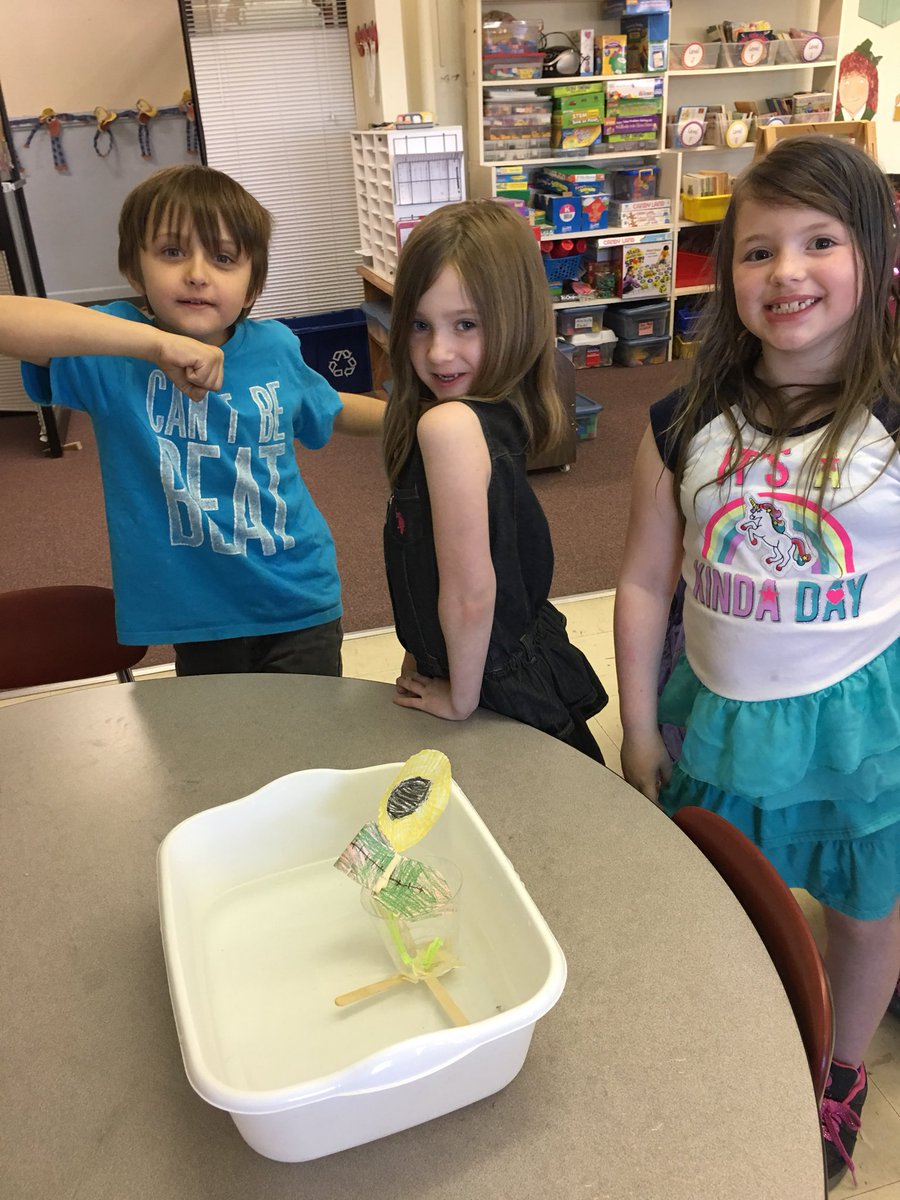 1VORoom201's tweet photo. @NACurriculum Floating flower STEM challenge in 1VO @CommunityComets #firstgradeengineers https://t.co/2zHBH1kQgs