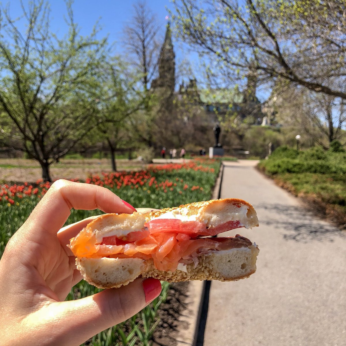 littlemsottawa's tweet photo. Happy 2nd bday to @UberEats! To celebrate I ordered #Kettleman’s 😍 From now until May 23rd they’re offering $2 delivery on all orders 😎 What would you order? 🥞🍕🍰🍔#happybdayottawa #ubereats #ad https://t.co/AaWNgtmGrX #ottawa #myottawa https://t.co/3iEiD9WTMt