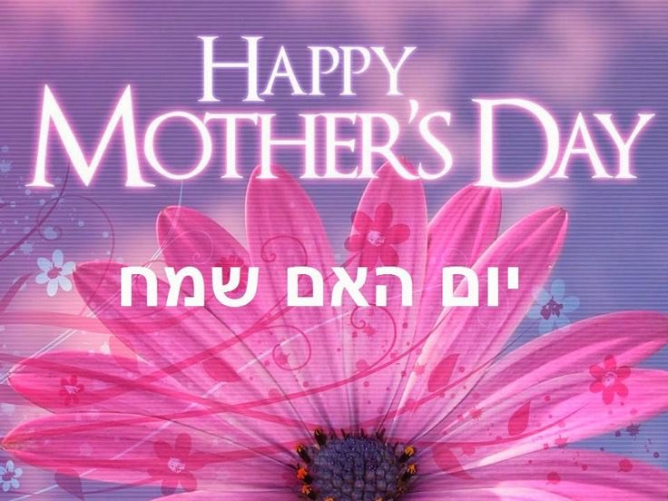 B'nai Torah tweet media