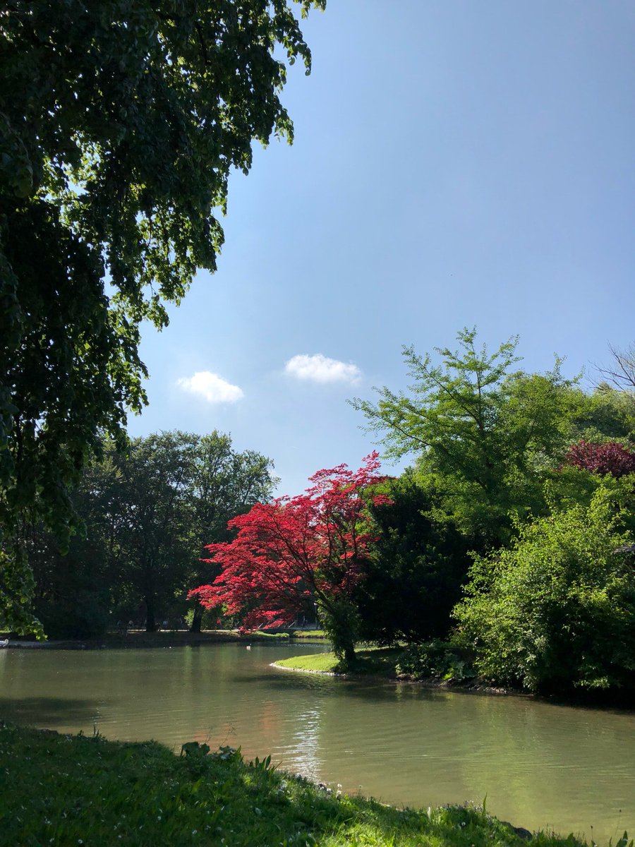 mehmetskilic's tweet photo. #englischer #garten #münih #germany (@ Englischer Garten in München, Bayern) https://t.co/UuzwHimDy4 https://t.co/WlQg5PKDf1