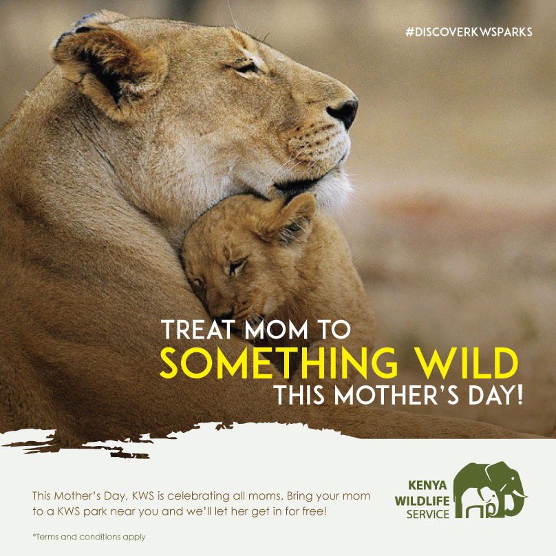 KWSKenya's tweet photo. https://t.co/7dilPxqOpY