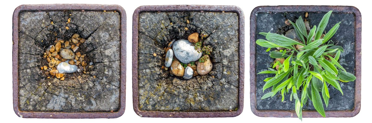 clifffart's tweet photo. High on #Bexhill Groyne 79 now under the decking next to "The Old Bathing Station" #Waveworn #environment #beach #intervention 2011, 2012 and 2018 https://t.co/3nD1ND56A1