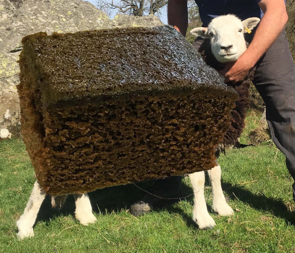 Andrew Barnes tweet media