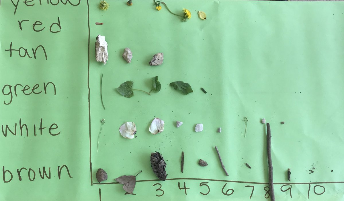 MrsLunnMath's tweet photo. We made an object graph out of items we collected in nature! #kindergartenexpeditions #tuckahoerocks @EverettKTeach @FirstITeach @MrsBishopKinder @morgankinder165 https://t.co/1Cm4cD7Wr0