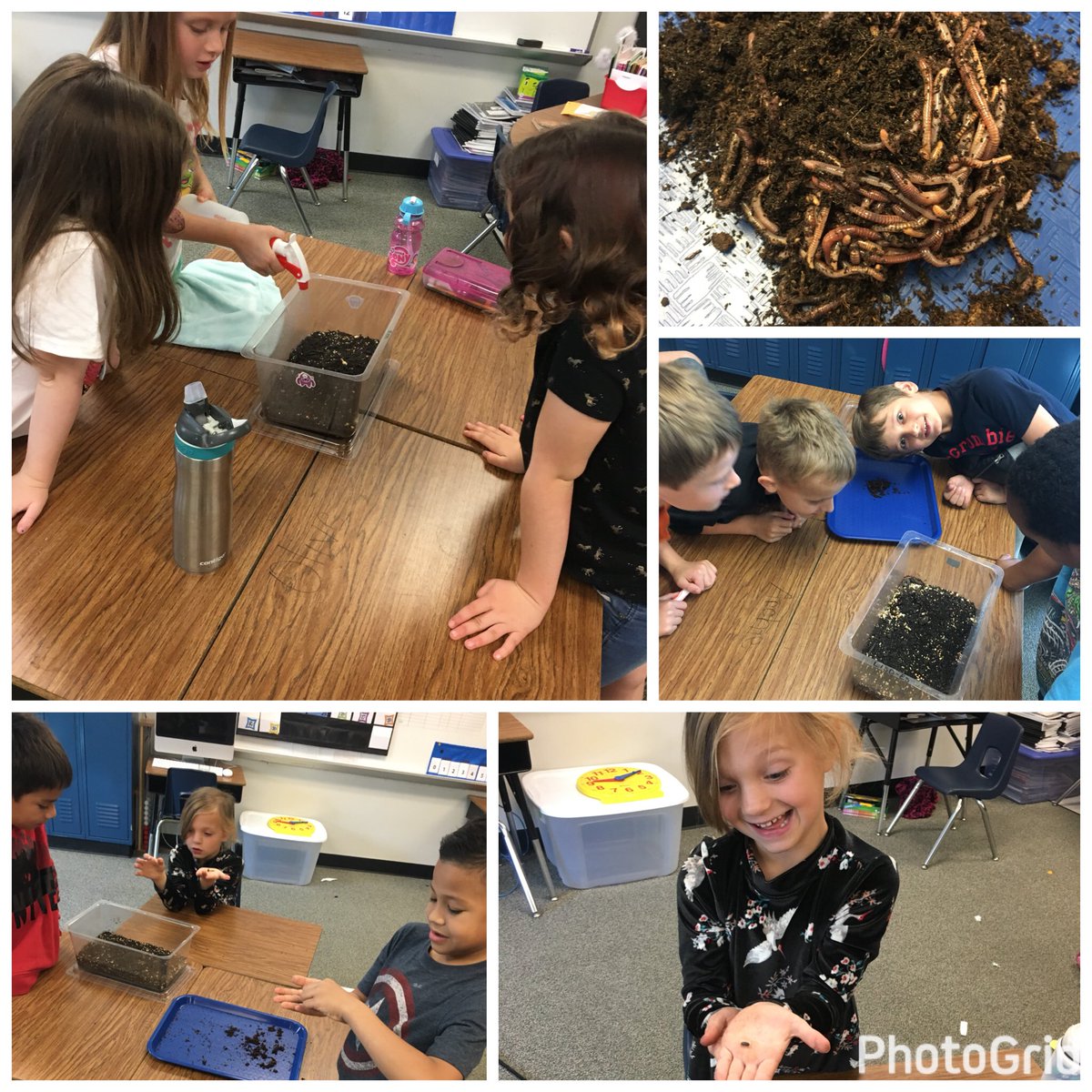 Mrs_Linendoll's tweet photo. Some pics from the last several weeks. We ❤️ Science! @PHEHuskies #Get2PHE t https://t.co/q2hfmYVtWV