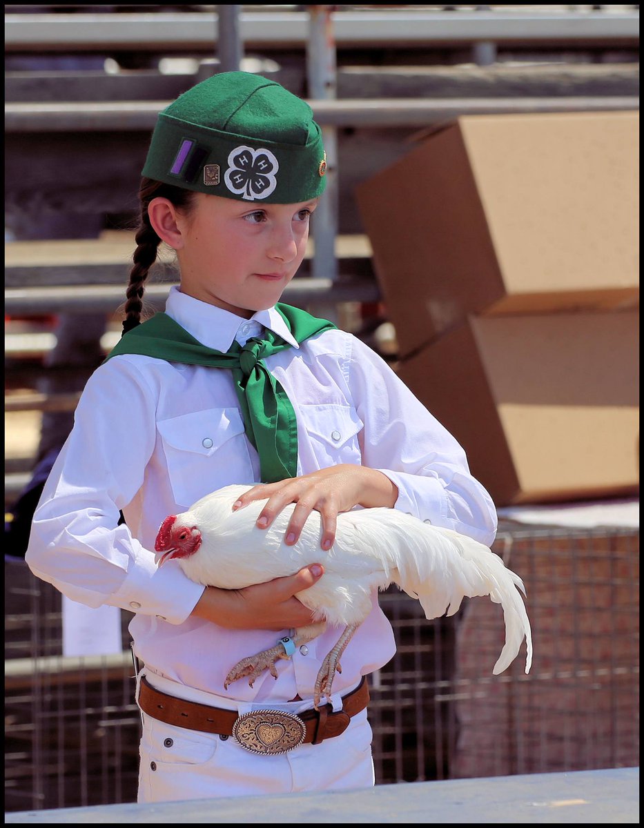 Lakeside Rodeo tweet media