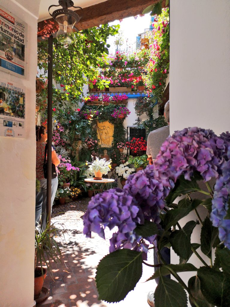 chary_serrano's tweet photo. El sonido del agua, el color de las flores, el trino de los pájaros...
Estoy en el cielo? No.. en un #patiocordobes
S.Juan de Palomares, 8
#festivaldelospatios @pappsaporte
#Cordobaesp
#patios2018
#LaHoraMagica11M https://t.co/0m70pynTLo