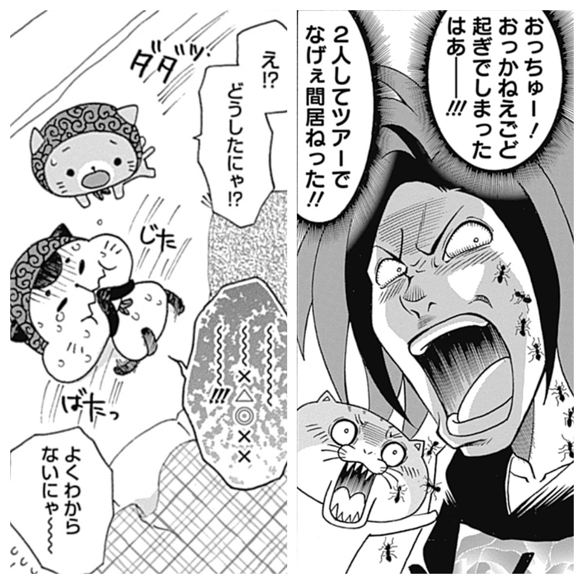 ねこねこ横丁編集部 れんコテ の柴田亜美先生から美味しい たぬき煎餅 のお土産頂きました 種類が沢山あって目移りしてしまうほど 早速ねこ長と こそどろねこ の そら くんも来たー お仕事した人からだよ 明日は漫画更新日 T Co ねこねこ横丁編集部 れんコテ の柴田亜美先生から美味しい たぬき煎餅 のお土産頂きました 種類が沢山あって目移りしてしまうほど 早速ねこ長と こそどろねこ の そら くんも来たー お仕事した人からだよ 明日は漫画更新日 T Co