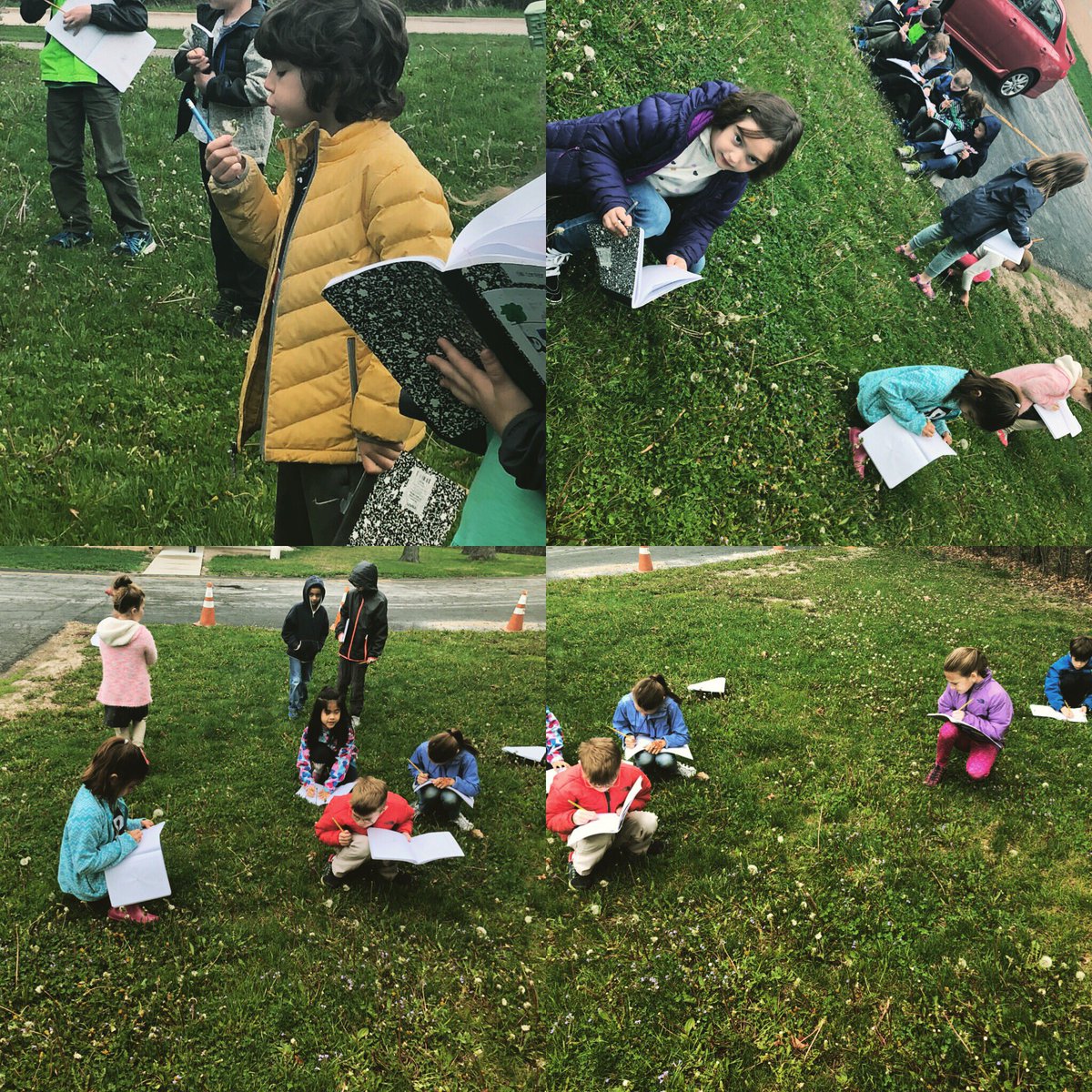 MissMags2nd's tweet photo. How do seeds travel? Why in the world do we have so many weeds? #LB66 #SciFri https://t.co/0Y3avKCUiX