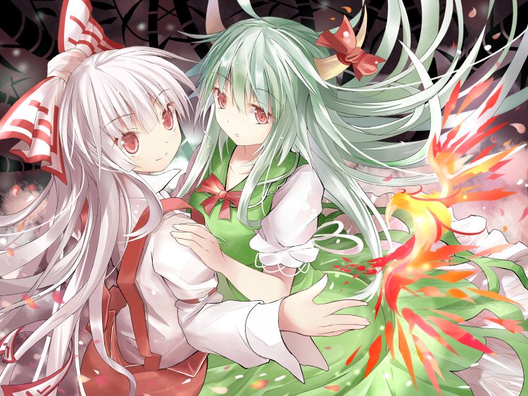 藤原妹紅 上白沢慧音 #東方project #東方好きな人はRT #東方が好きな人