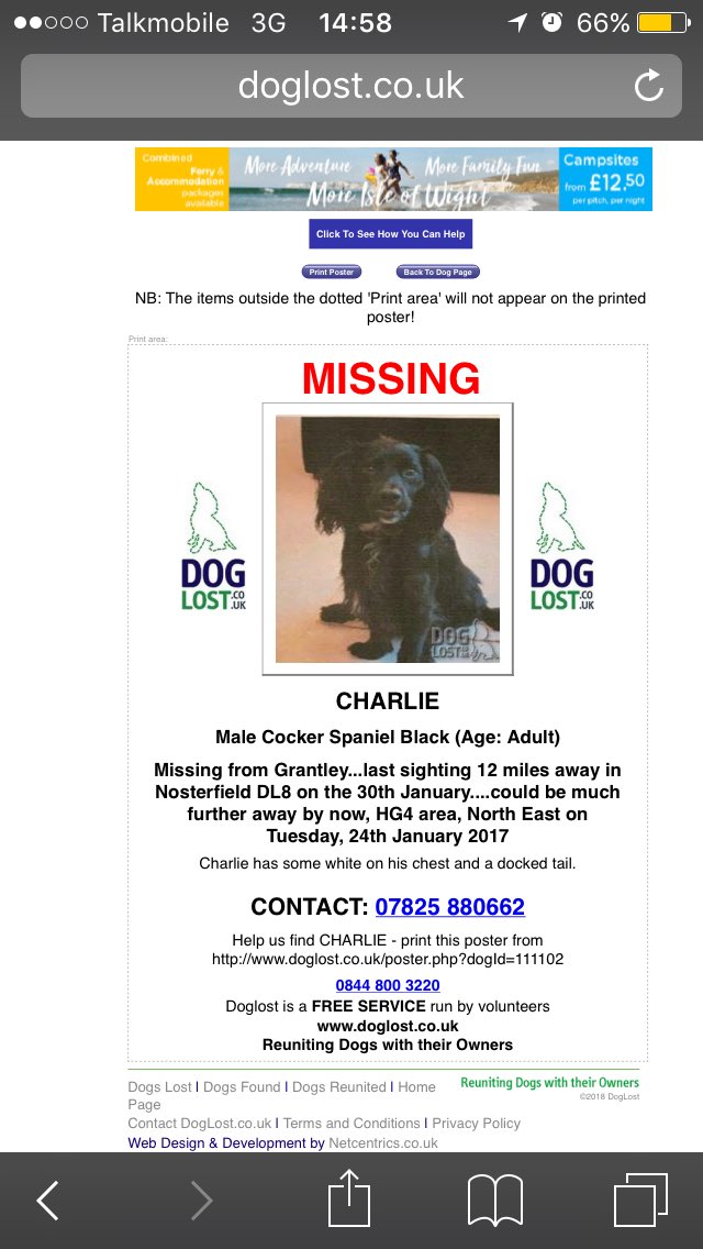 CHARLIE #stillmissing male #cockerspaniel #Grantley last sighting 12 miles away #Nosterfield #DL8 30/1/17 COULD BE ANYWHERE NOW did someone take him in? #missing from #HG4 area 24/1/17 Where is CHARLIE? Do👇🏾know