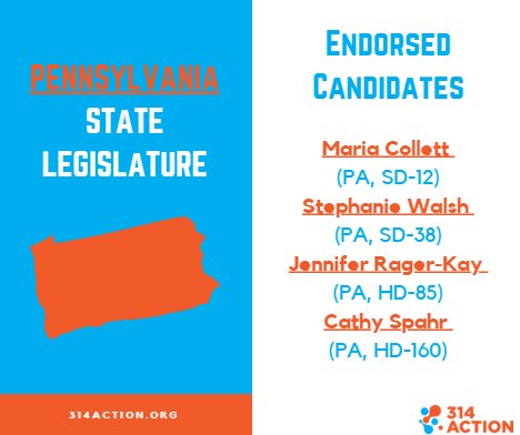 314action's tweet photo. Pennsylvania's primary elections are on Tuesday! We're proud to stand with our endorsed STEM candidates from the Keystone State, @mariaforpa, @S_WalshPA, @drjennforpa85 and @spahr4thepeople. #electscientists #votescience https://t.co/XToxhg7zbG