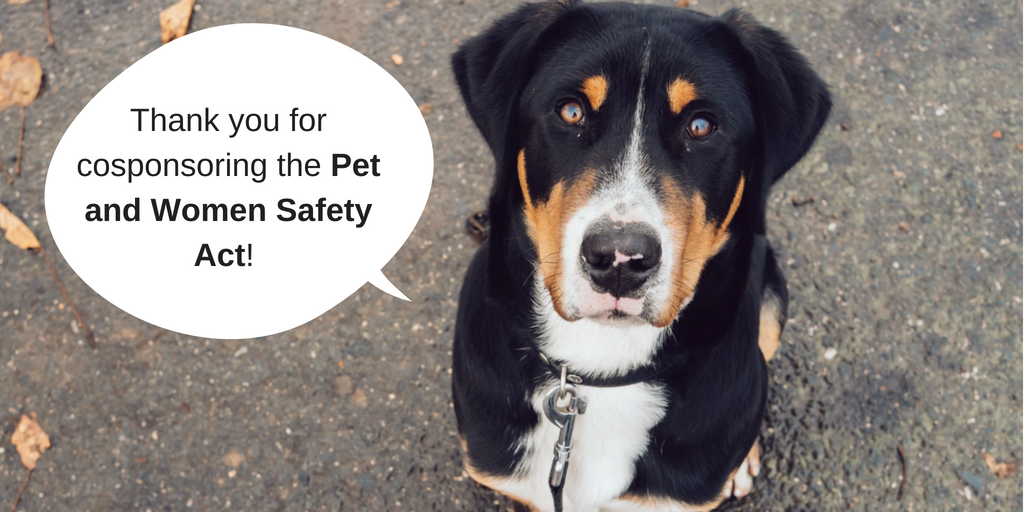 cleolcaro's tweet photo. Pets are family. Thank you to my Senators @MarkWarner @timkaine for cosponsoring the PAWS Act (S.322) to include protections for pets in domestic violence protection orders. Contact your Senator and ask them to do the same: https://t.co/D4itH5UbWH https://t.co/G4DjncvhrZ