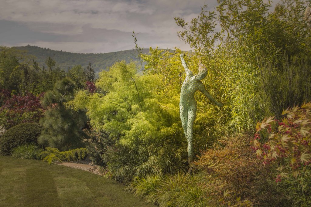 More photos of my #sculptures in Peter Dowle’s #showgarden at #rhsmalvern ‘Spirit of the Woods’ Beautiful with the backdrop of the #Malvern Hills. Show will feature on Gardener’s World @BBCTwo tonight at 8pm, tune in if you can! @Howle_Hill @GWandShows @MalvernShows @The_RHS