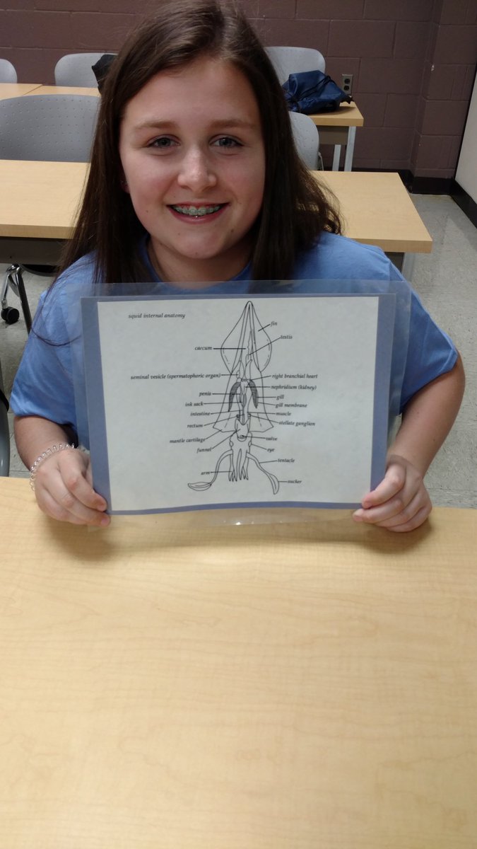 Erika Hanes tweet media