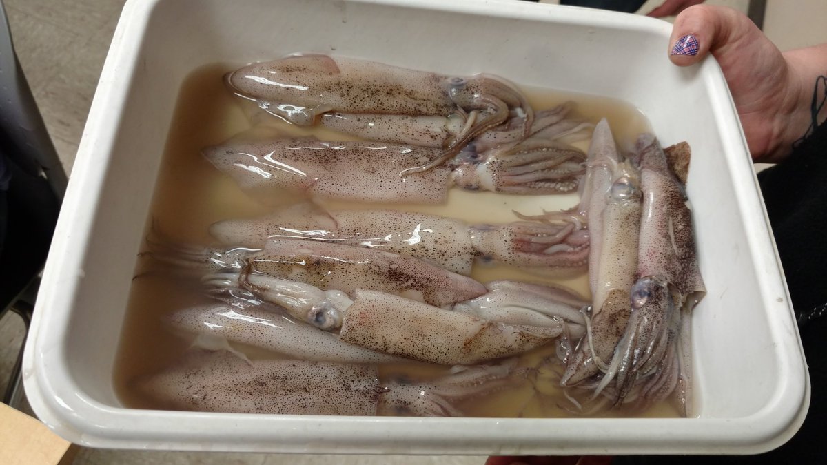 Erika Hanes tweet media