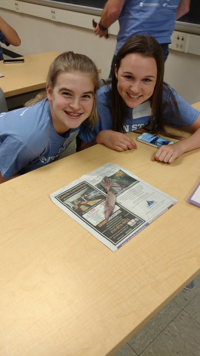 Erika Hanes tweet media