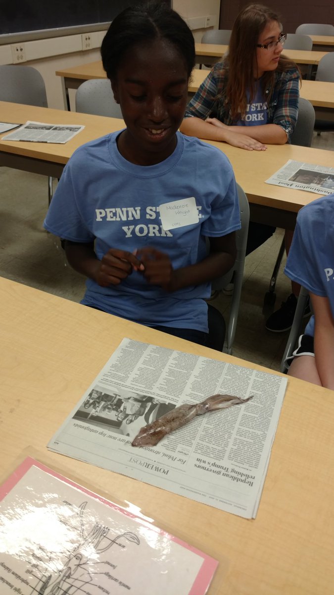 Erika Hanes tweet media