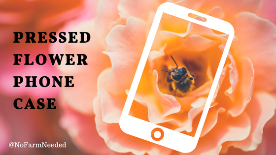 NoFarmNeeded's tweet photo. Bring Nature with you and create a unique Pressed Flower Phone Case! #pressedflower #phonecase #flowerpower #garden #getouside #flower #flowerlover https://t.co/mbeH6f7nL5 https://t.co/iij8YaE9qT