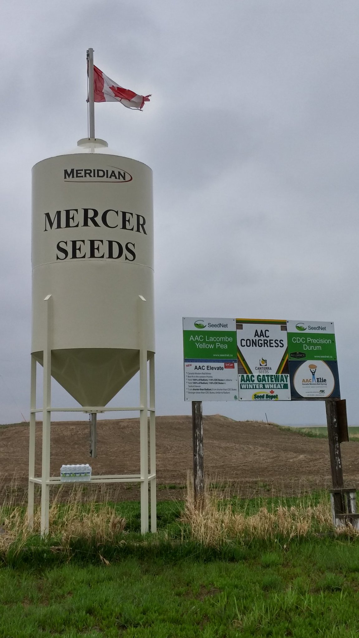Seednet On Twitter Another Day More Seednet Seedgrowers