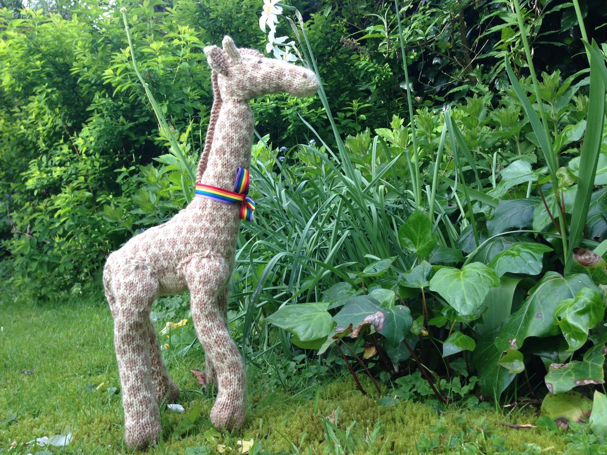 siantredwell's tweet photo. My latest knitting project is complete! https://t.co/TuKKpNEP8b
