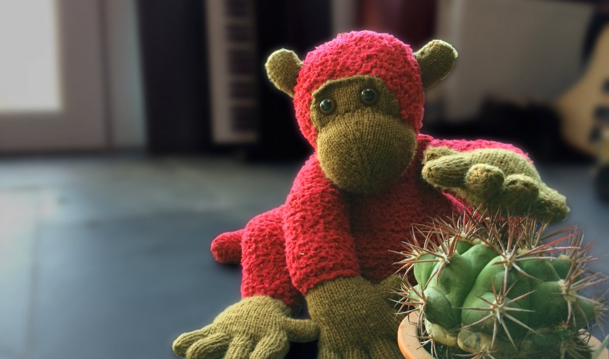 TheWoolMonkey's tweet photo. If you haven't already seen it, check out our new #WoolMonkey website.
https://t.co/ZZ11Pmu9Rl      for everything #crochet, #knitting and #cactus related.
#handmade #crafty #etsy #knit #yarn https://t.co/ArPwVOgiZA