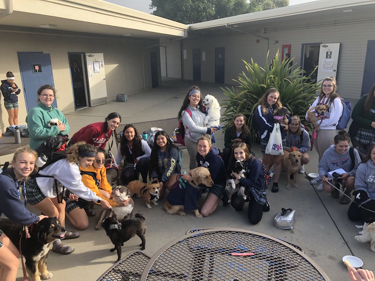 It’s a dog-eat-dog world out there—that’s why you’ve got to create a community filled with love and compassion.