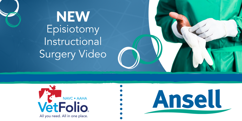 vetfolio's tweet photo. NEW surgical video! Check out VetFolio’s Surgery Library to watch Dr. John Berg's latest instructional video on an Episiotomy Procedure. https://t.co/JNoMkpl1h7 https://t.co/tJM1929fMz
