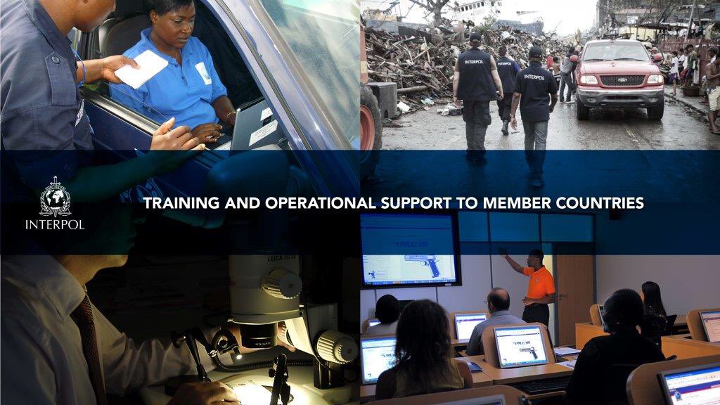 #DYK – INTERPOL trains thousands of #police officers around the world every year. Coming up are sessions on investigating online #wildlife crime, #cybercrime and INTERPOL’s Illicit Arms Records and tracing Management System.