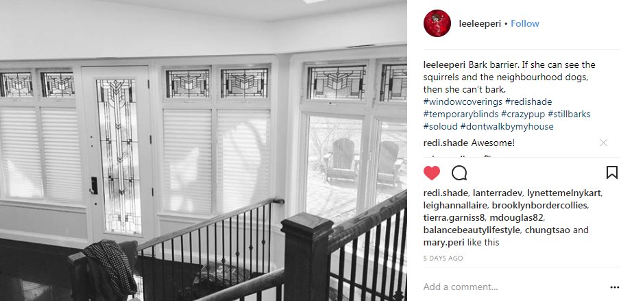 redishade's tweet photo. Our #shades can control more than light. Check out how our customer used our product to stop her dog from barking. #redishade https://t.co/JScRlngBOl