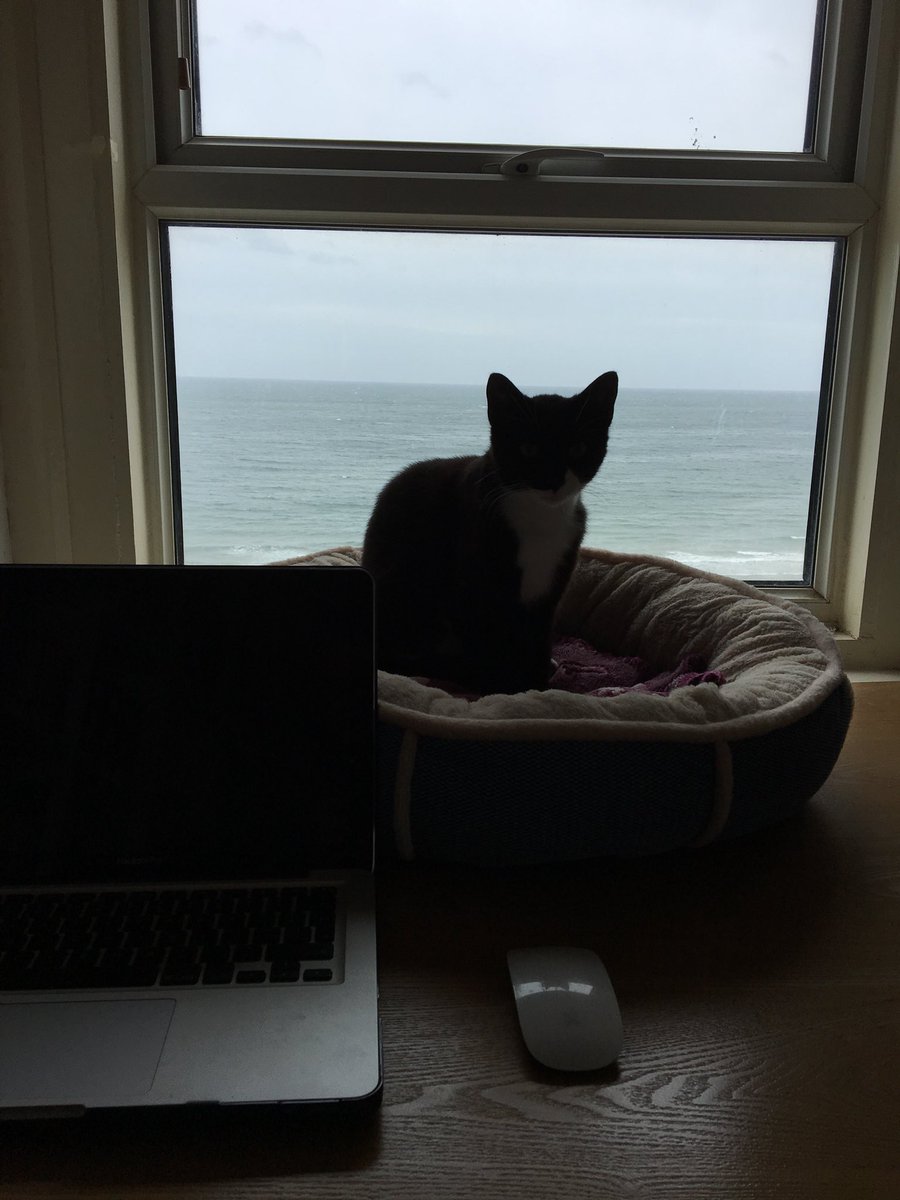 IsleofManWindow's tweet photo. What? I AM the view. #IsleOfMan #IoM #Kitty #ObiTheCat https://t.co/iQKoPhikze