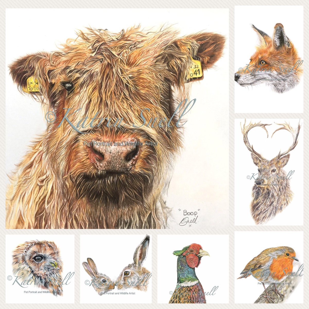 KatrinSnellart's tweet photo. Im a bit late but Happy Somerset Day everybody! Here is some of the lovely Somerset wildlife I had had the pleasure of drawing #Somerset #somersetbusiness #SomersetDay #somersetday https://t.co/v8lcrdHXKU