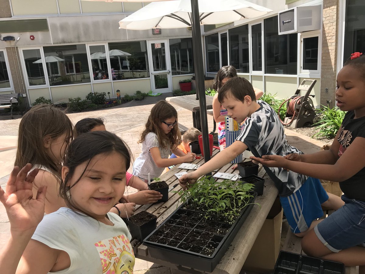 Third Grade tweet media