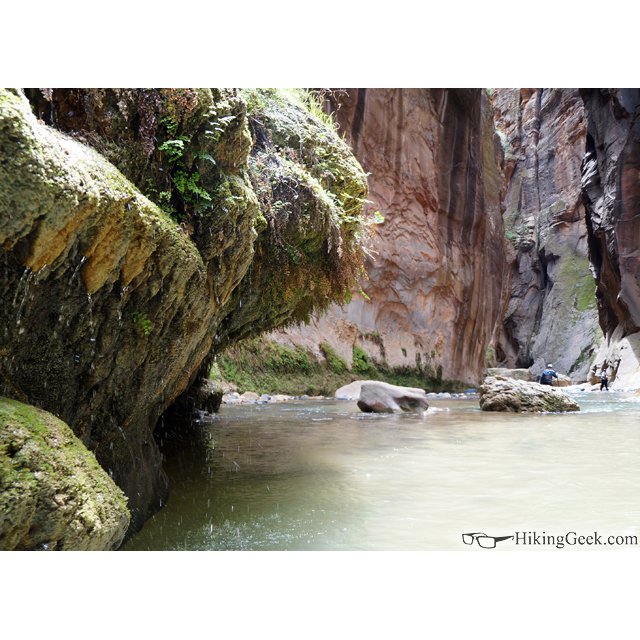 TheHikingGeek's tweet photo. #FlashbackFriday - May 11, 2015. Three years ago, I hiked #thenarrows and have been wanting to get back ever since! Trip report available at https://t.co/WB9rCyFud6
#zion #utah #hikeutah #zionnationalpark #canyoneering 
@ZionNPS @usparkscom https://t.co/g4dk8JfUnI