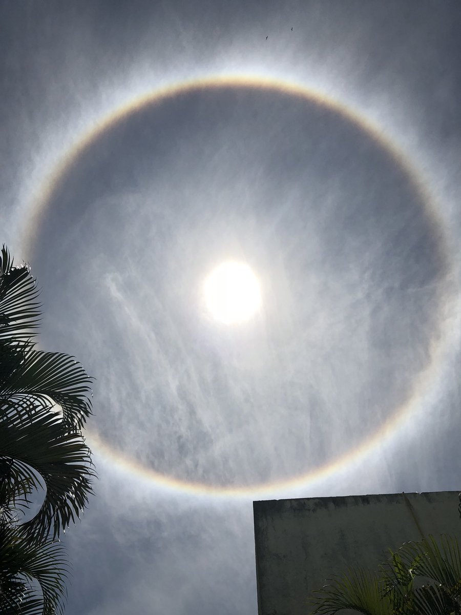 Impresionante imagen en este momento del sol, maravillosa naturaleza.