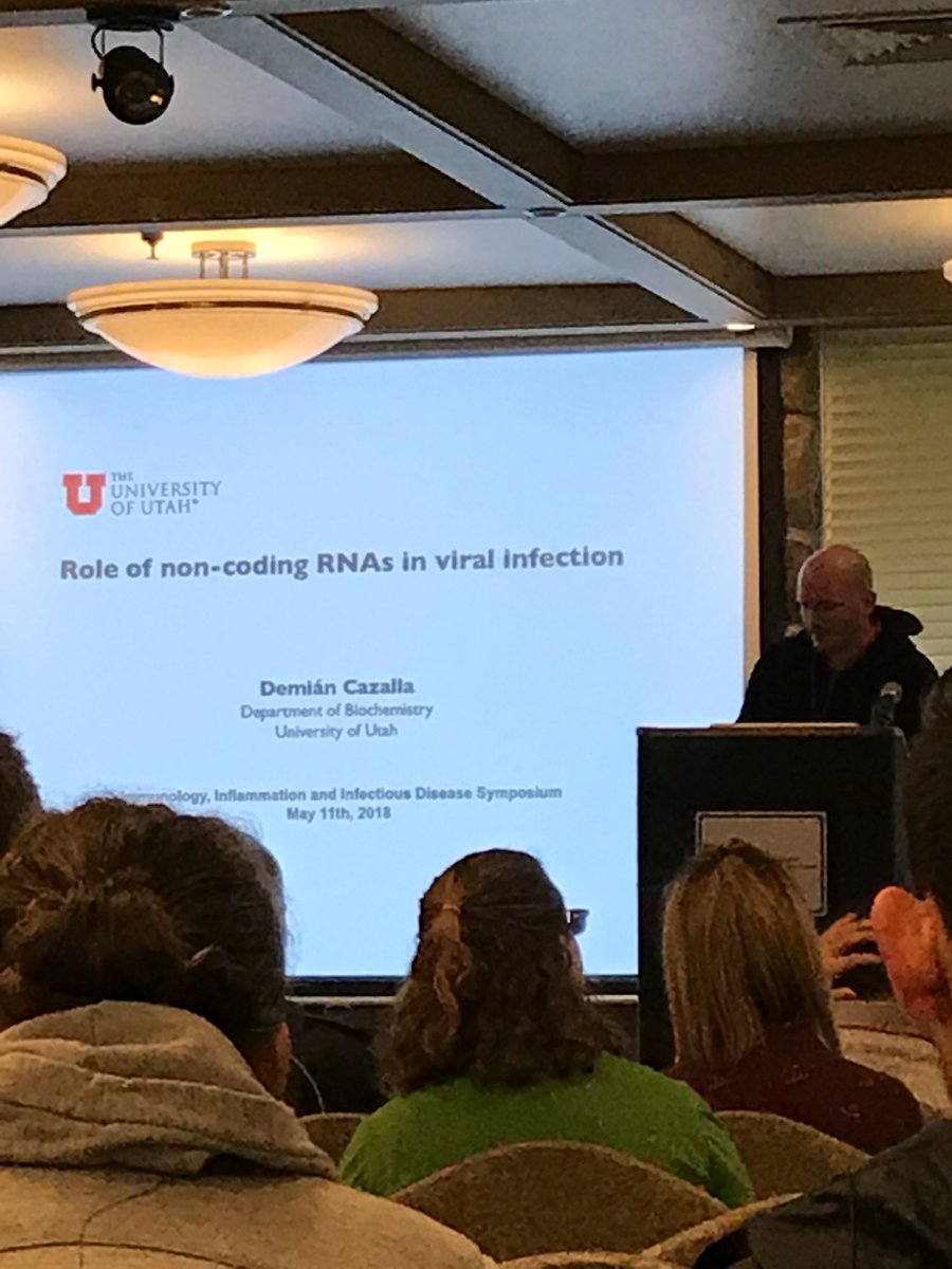cmorganr's tweet photo. Next up: Demián Cazalla. “Role of non-coding RNAs in viral infection.” This should be a good one! #noncodingrna #iheartmirna #TripleI18 https://t.co/yaKcMKpwvt