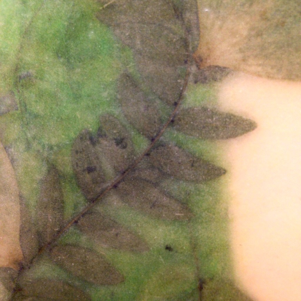 Littlejohn_Arts's tweet photo. Detail of @valeriehammondstudio 's 'Lotus II' #encaustic with 3 dimensional components. #printmaking #encausticart #contemporaryart #flora #inspiredbynature #chelseaart #nycart https://t.co/QFKaUXTrh5