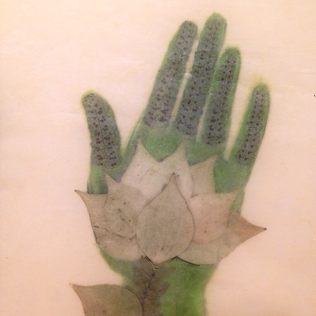 Littlejohn_Arts's tweet photo. Detail of @valeriehammondstudio 's 'Lotus II' #encaustic with 3 dimensional components. #printmaking #encausticart #contemporaryart #flora #inspiredbynature #chelseaart #nycart https://t.co/QFKaUXTrh5