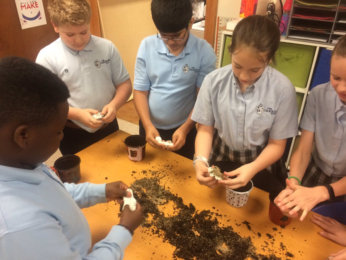MakerspaceMaven's tweet photo. Seed bombs and hand painted flower pots! Science and art are the perfect pair! My 5th grade makers are SO creative and don't mind getting their hands dirty! #learningisfun @OakridgeMS1 @ReddigWrites @oakridgeowls https://t.co/WaHox3zKrO