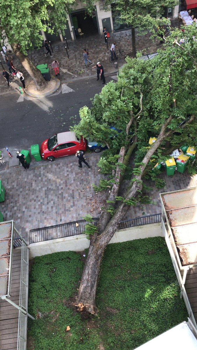 philpanis's tweet photo. Malade 🤕 il devait être abattu dans quelques jours ! https://t.co/CfDqir5kRy