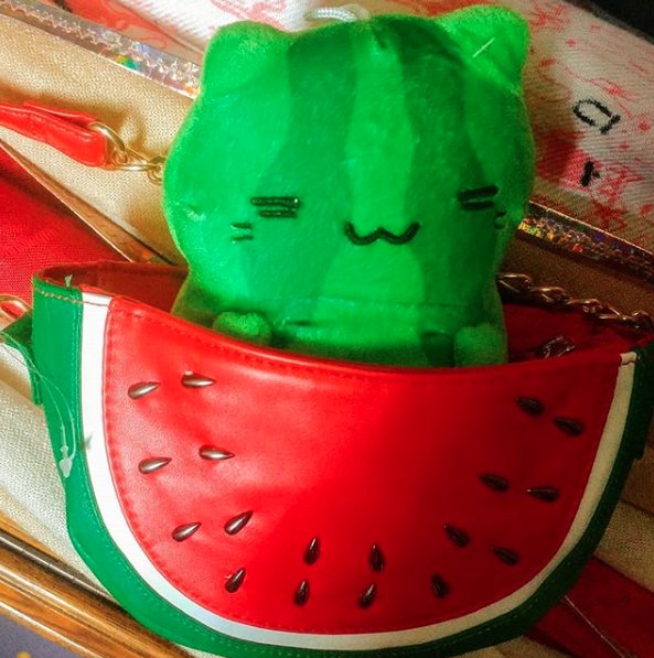 watermelon klepto cat