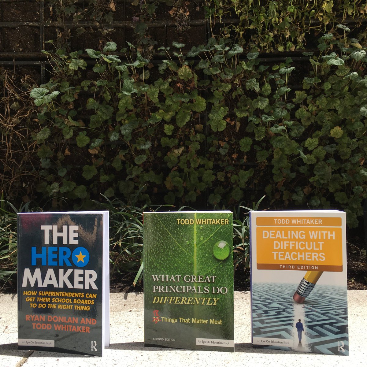 RoutledgeEOE's tweet photo. Leaders, enjoy the summer with lots of sunshine and an all-star summer PD lineup. #TheHeroMaker #WGPDD #DealingWithDifficultTeachers #JoyfulLeaders #ProfDev #EdLeadership https://t.co/saVfuQBPd2