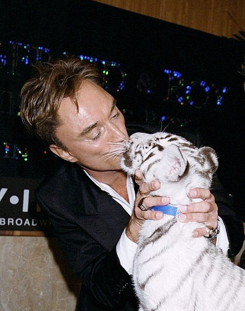 PhonyRoy's tweet photo. Ze greatest part about having animals iz zat zey are alvays zere ven you need zomevone. You are never alone. ❤️ 🐯 🦁 

#RoyDoesNotLikeBeingAlone #MildlyClingy https://t.co/ONuISvIbJJ