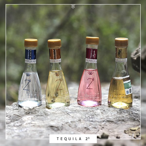 Tequila29's tweet photo. Sorprende a tus invitados con el detalle perfecto y original para regalar en tu fiestas de despedida de soltera, nacimientos, bautizos, comuniones, bodas 🎁🎉 Botellas miniatura individuales de #Tequila29! 🍹 Haz tu pedido aquí: https://t.co/uuwHdNOBxo https://t.co/sb2WtsZepr