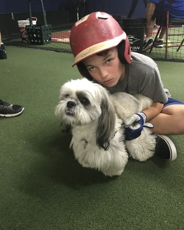 Hitting Pros⚾️ tweet media