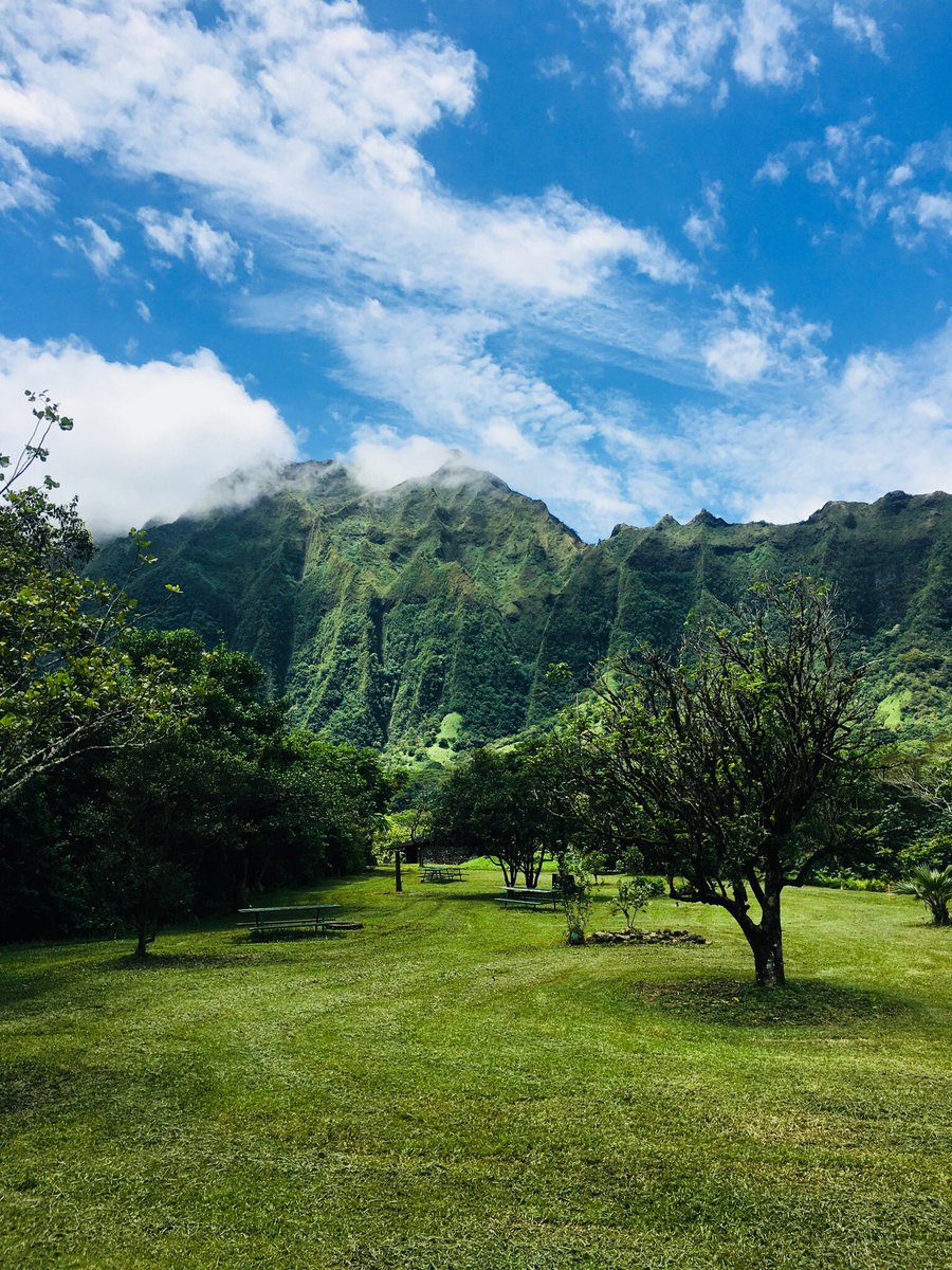 luzpaczka's tweet photo. Already missing the aloha days https://t.co/uTne4spboj