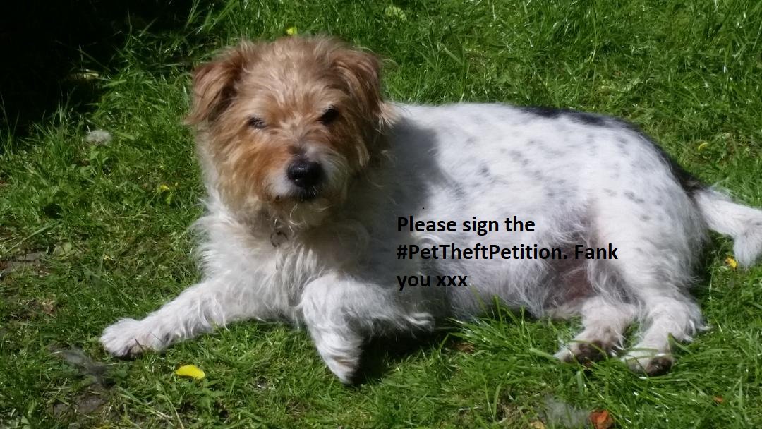 Fergie_dadog's tweet image. Pet theft is rising at an alarming rate, we&apos;ve been saying this since Dec 2014 and it&apos;s getting worse ! Please sign and share the Petition! Speak up for those who don&apos;t have a voice #PetTheftPetition #GetInvovled #Teamworkworks
petition.parliament.uk/petitions/2121…